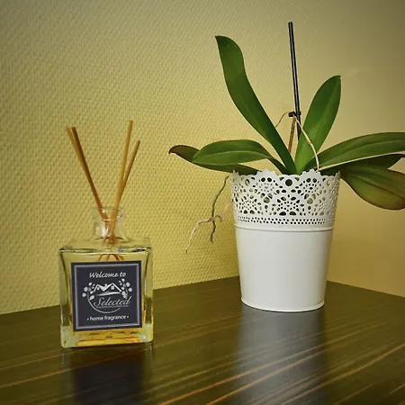 Katharinenschule Affittacamere Eisenach