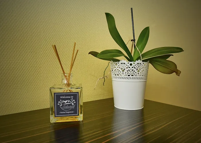 Katharinenschule Konukevi Eisenach